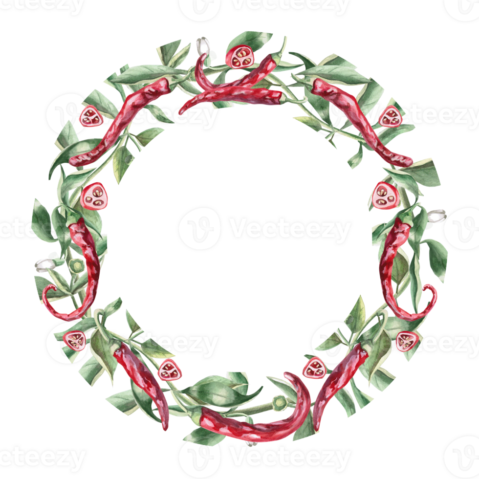 Round frame of branches with red peppers. Hand drawn isolated watercolor illustration of vegetables for plate design, cookbook illustration, fabric and clothing printing png