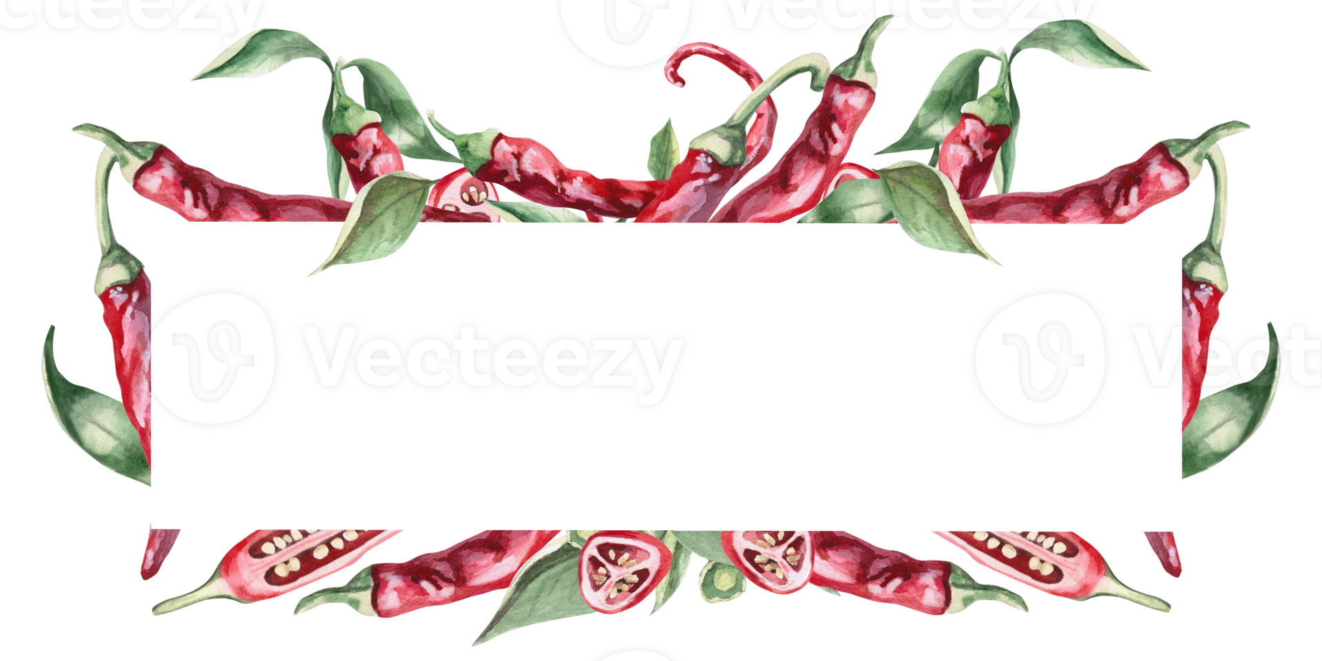 Rectangular text frame with peppers. Hand drawn isolated watercolor illustration of vegetables for tableware design, posters, cookbook illustration, tablecloth printing png
