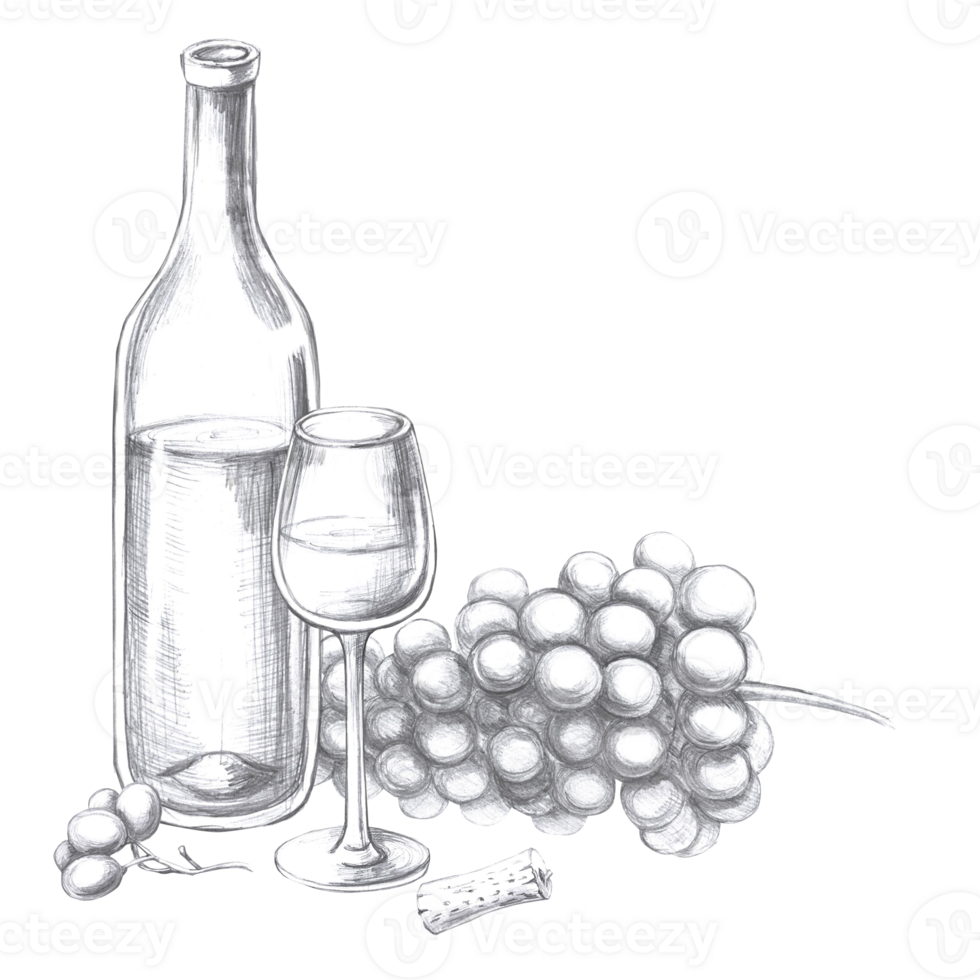 Wine bottle with glass and bunch of grapes. Isolated pencil illustration in realistic style for design of alcoholic products, juices, posters, cookbooks, printing on fabric, menu design png
