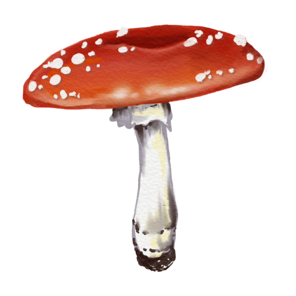mushroom Red and white cartoon mushrooms flying in a forest, featuring various fungi like toadstools and amanita, set against an autumn nature scene with grass and other plants png