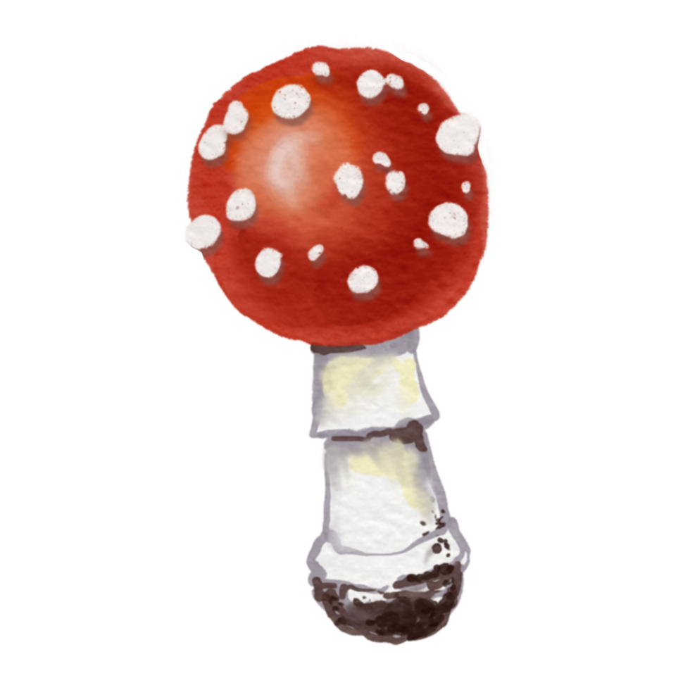 mushroom Red and white cartoon set against an autumn nature scene with grass and other plants png