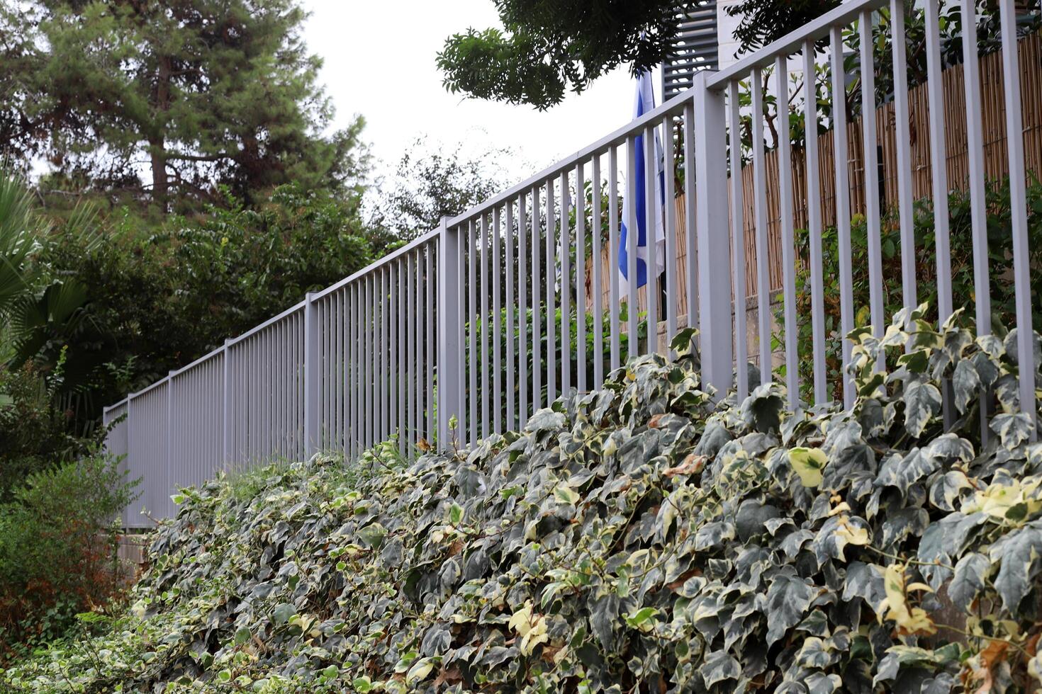 Green plants and flowers grow along the high fence photo