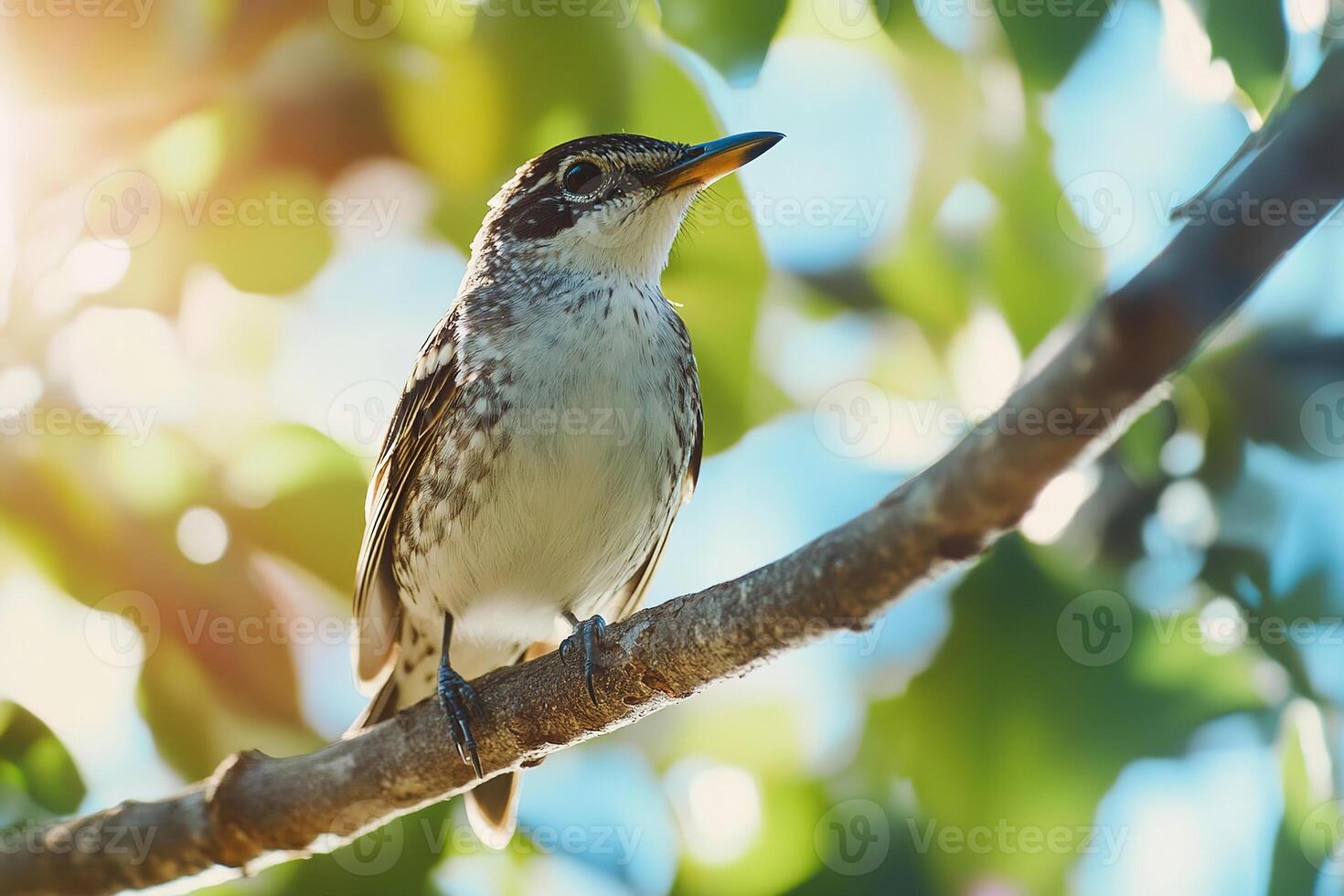 small bird perched on branch in sunlit forest during springtime bird watching. photo
