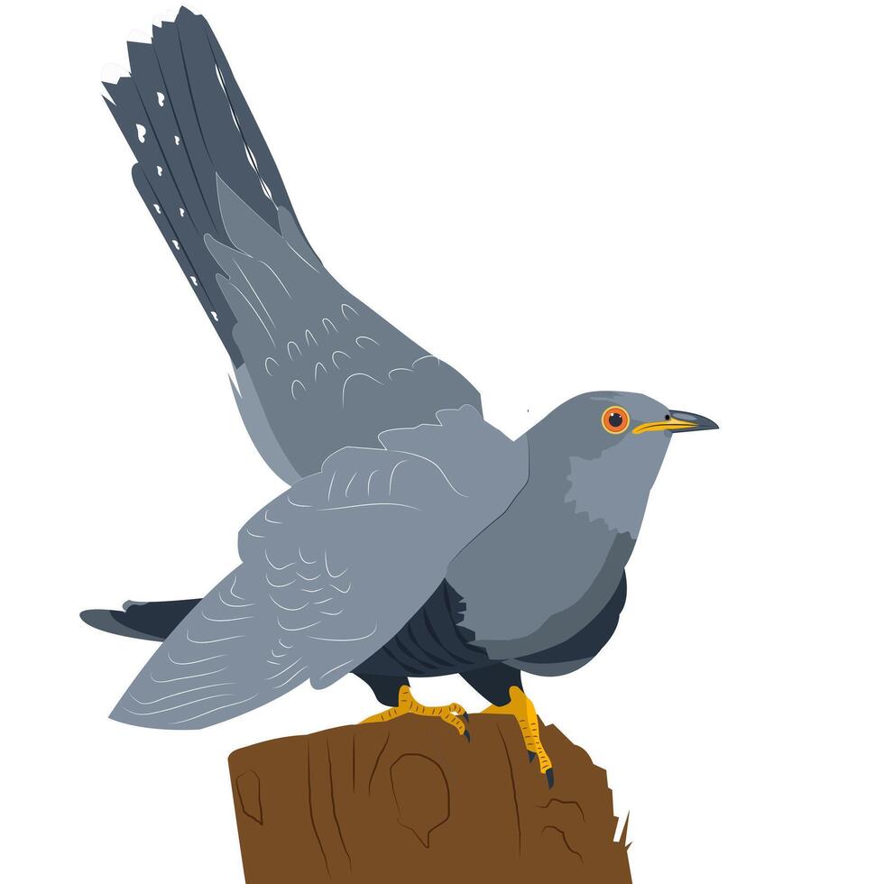 a cuckoo sits on a large stump vector