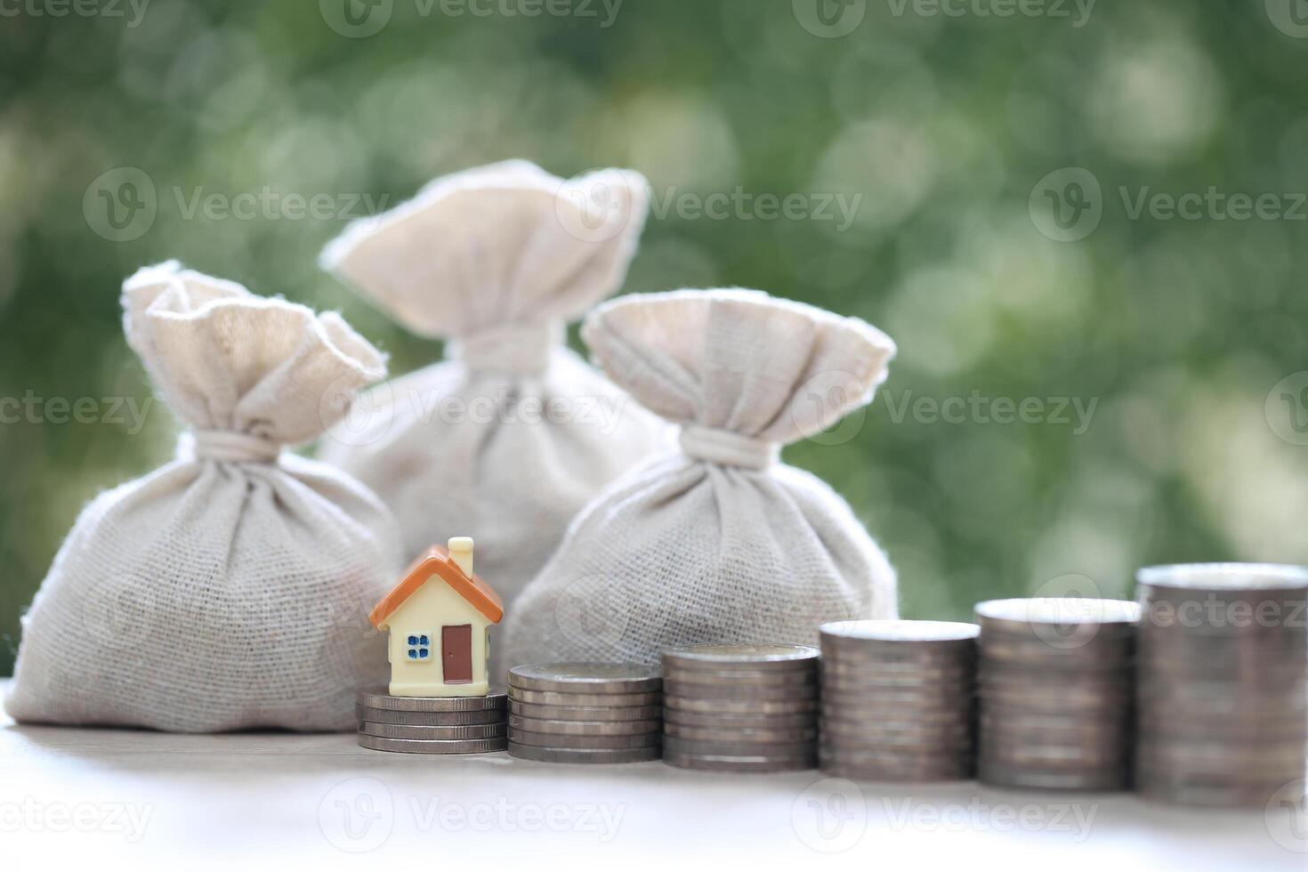Finance, Model house with money bag on natural green background,Business investment and Save money for prepare in future concept photo
