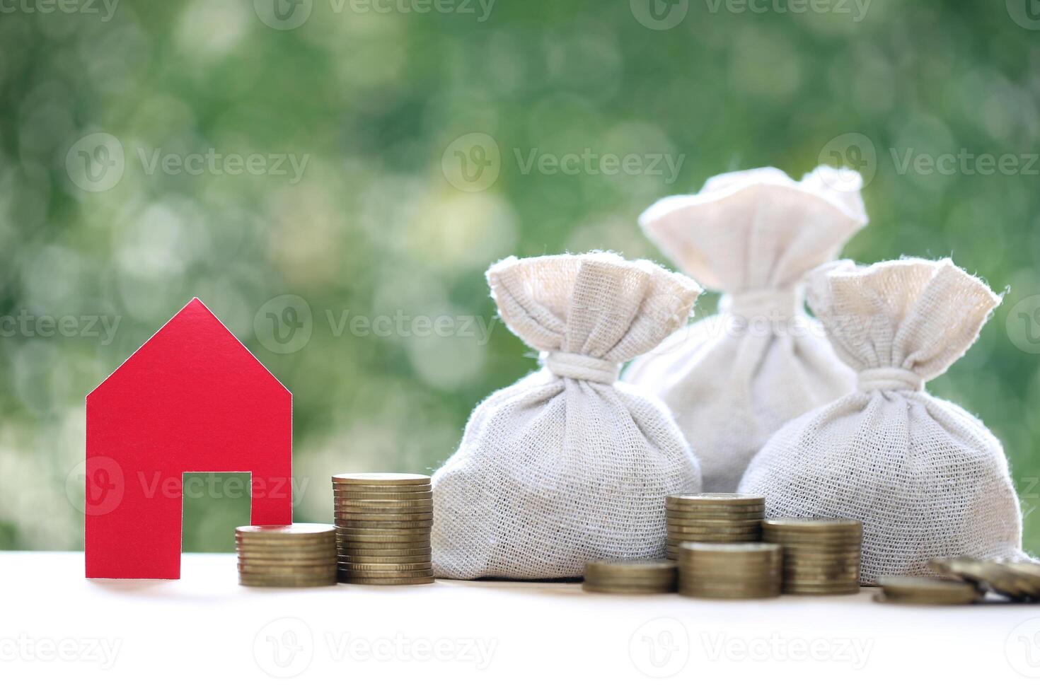 Finance, Model house with money bag on natural green background,Business investment and Save money for prepare in future concept photo