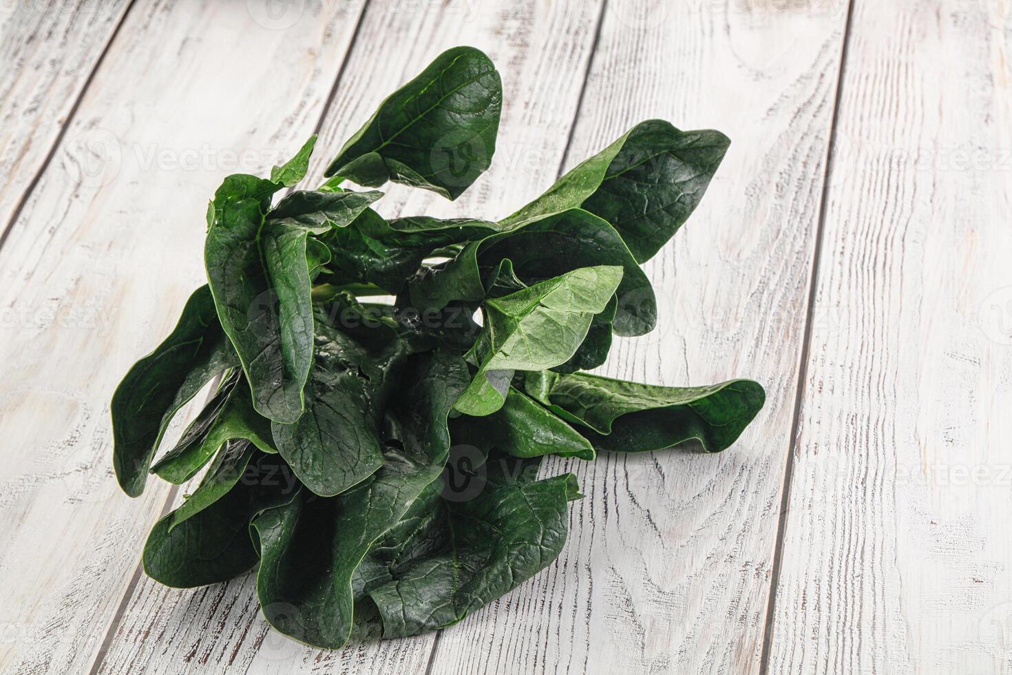 Ripe green spinach leaves heap photo