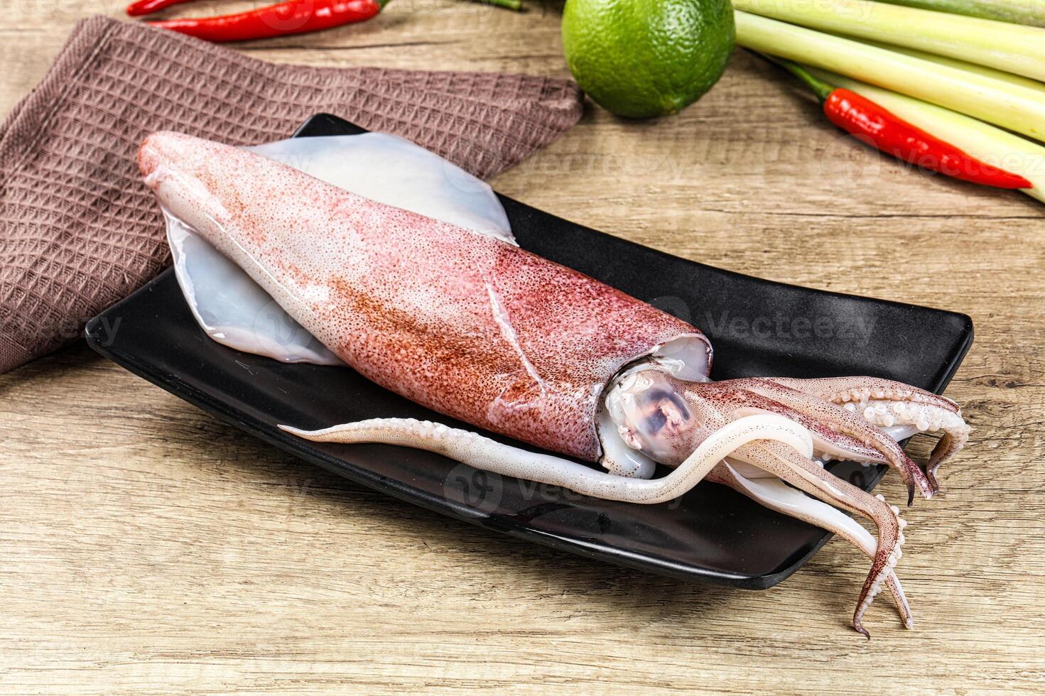 Raw fresh squid for cooking photo