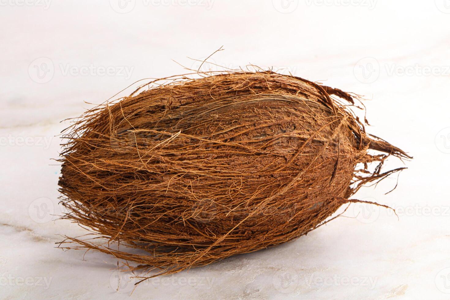 Natural exotic brown hairy coconut photo