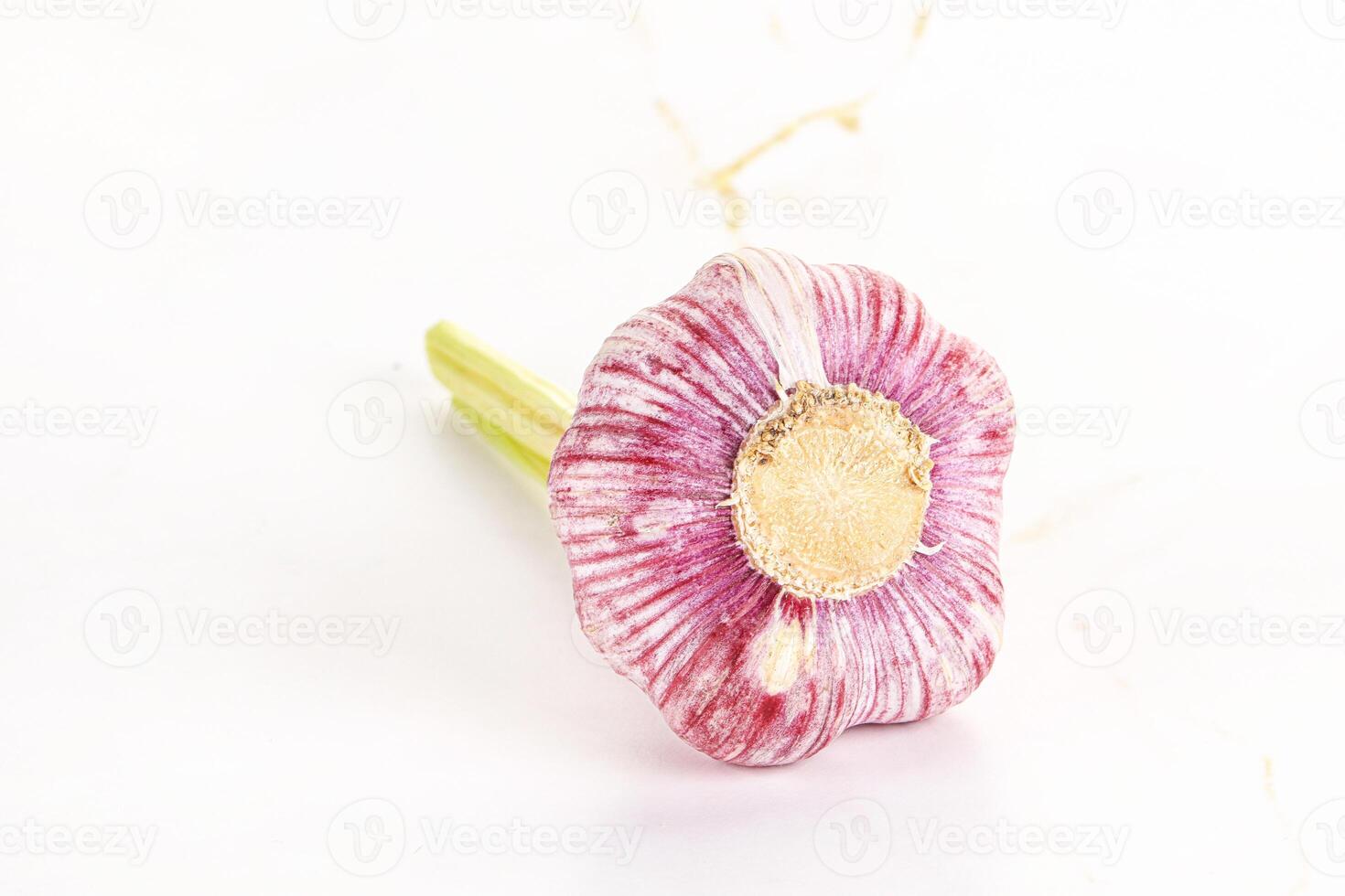 Young fresh garlic for cooking photo