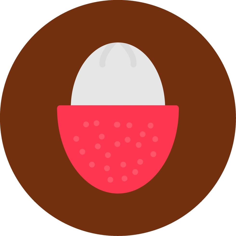 Lychee Colorful Icon vector