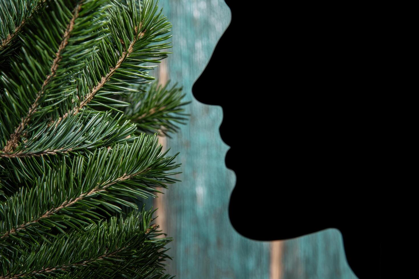 close up of pine tree branches with waterfall in background photo