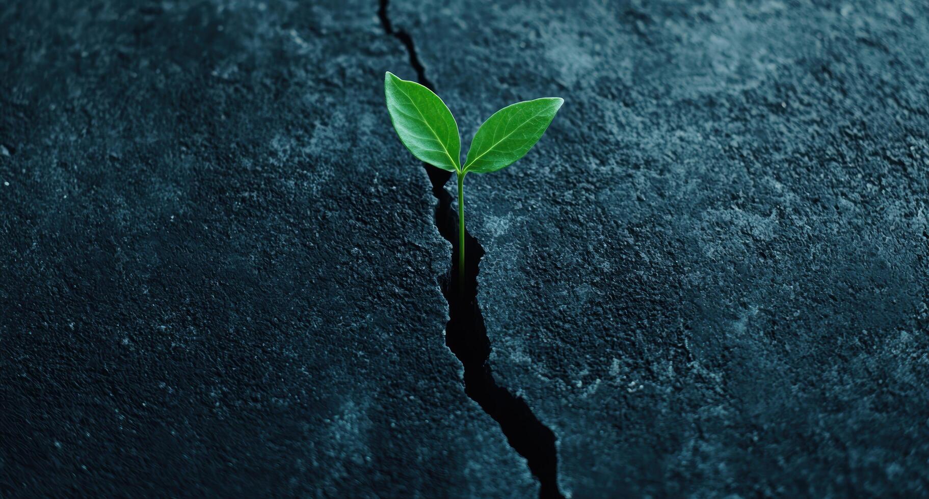 Resilient plant growth through adversity photo