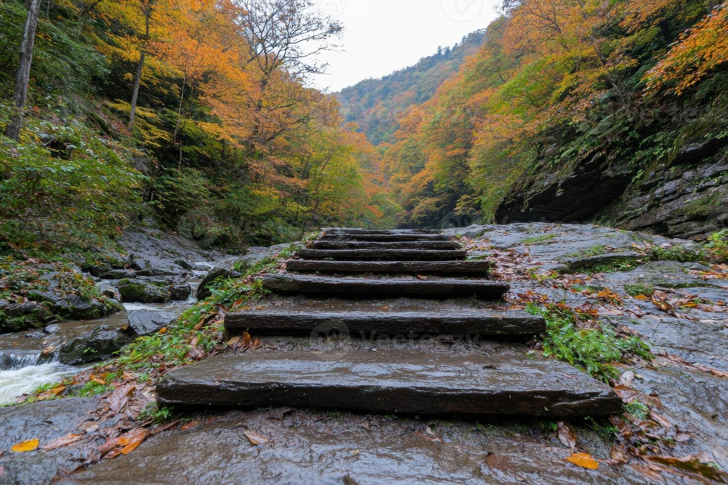Autumn forest trail with stone steps and flowing stream photo