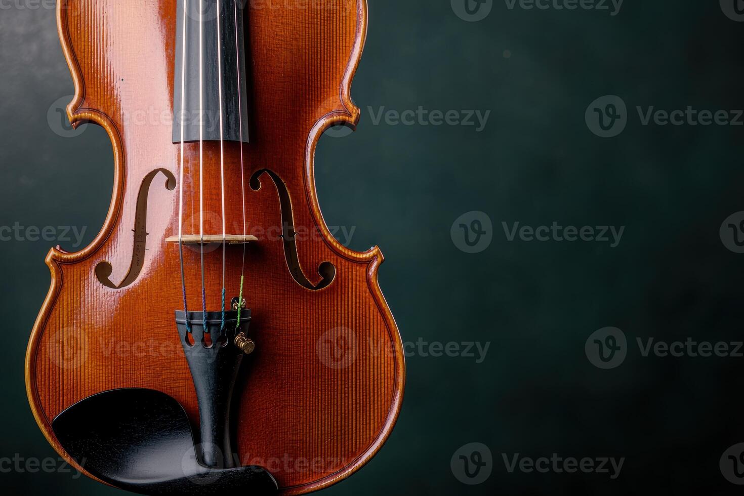 Detailed view of a classic wooden violin photo