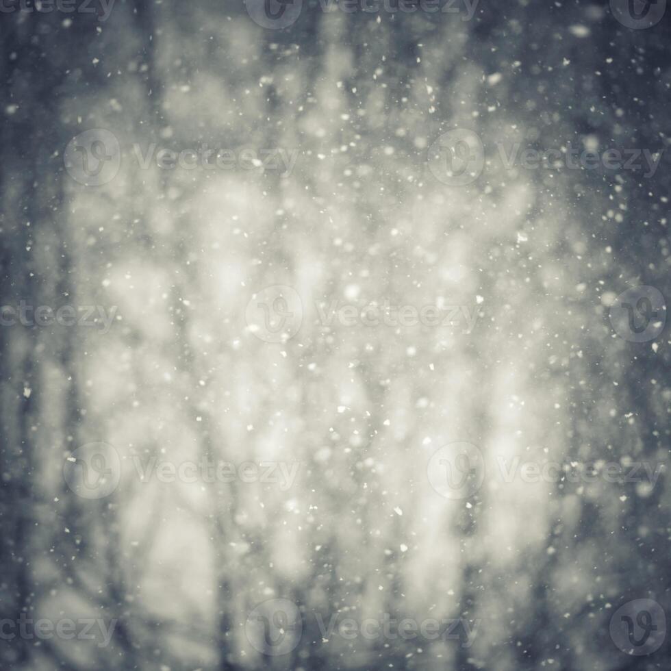 Winter blur background with snowflakes photo