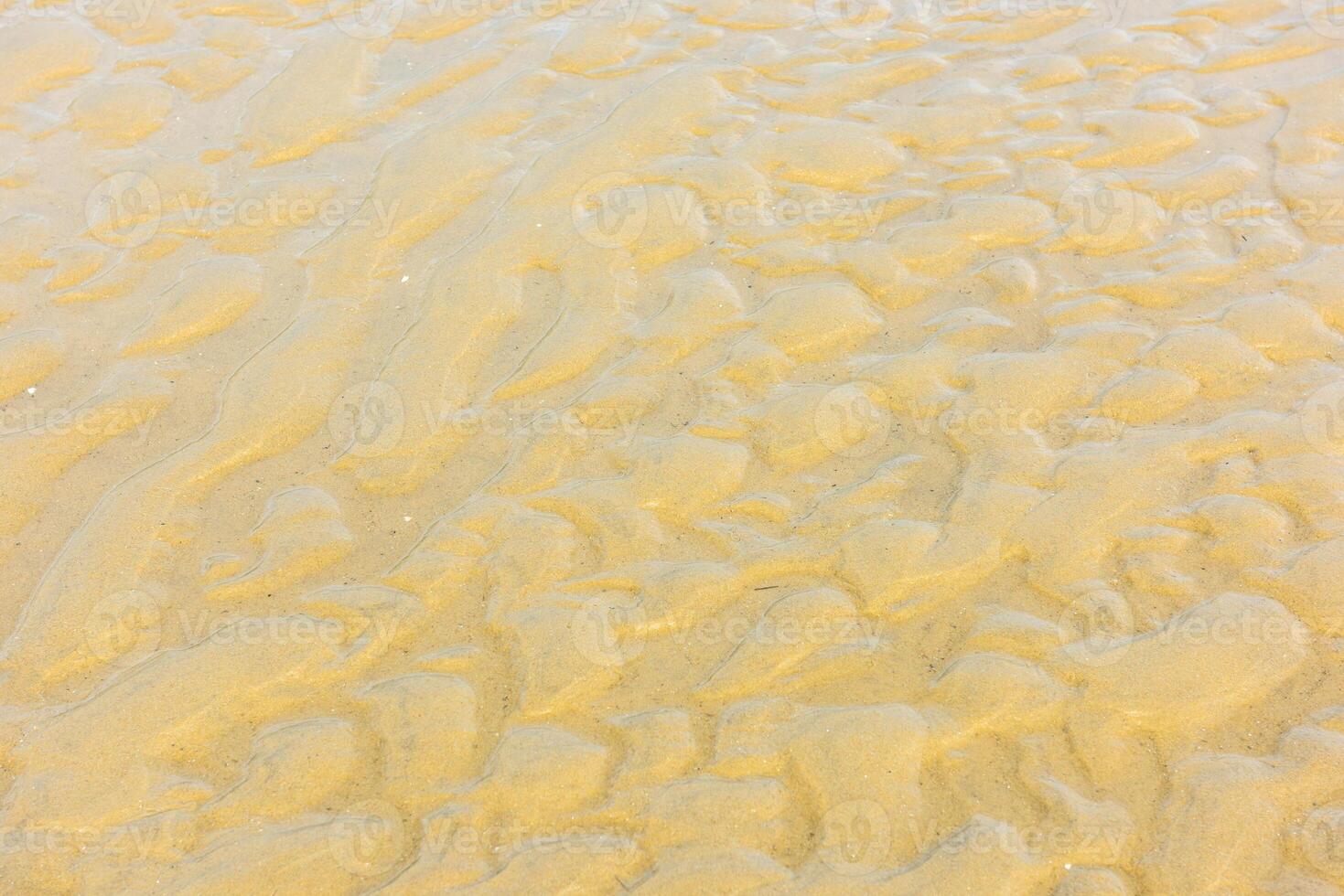 Top view of a sand sea bottom photo