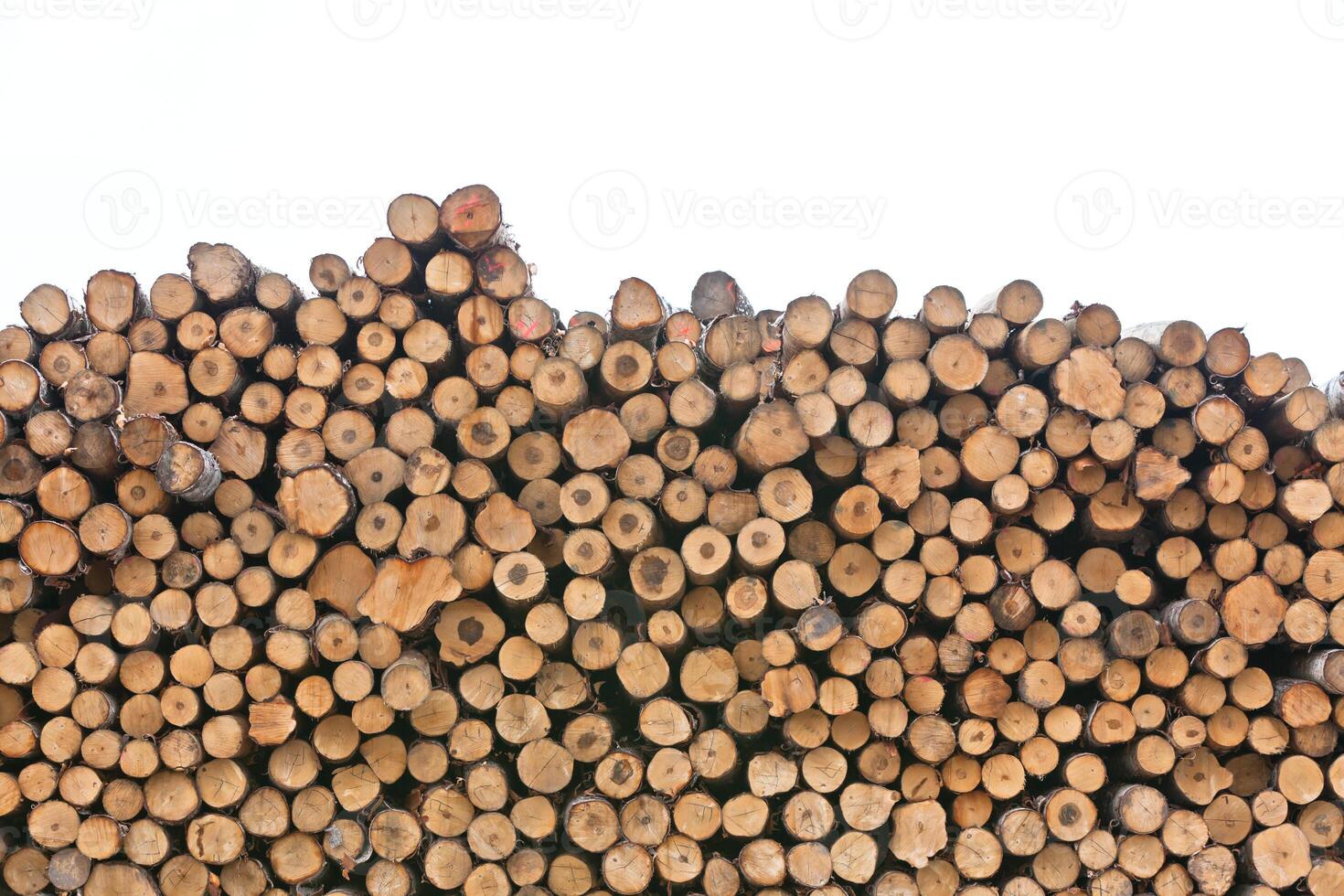 Pile of wood photo