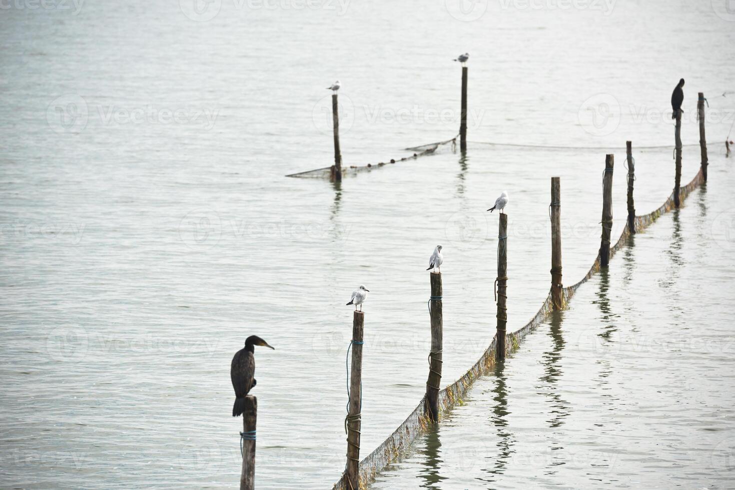 Northern Sea landscape photo