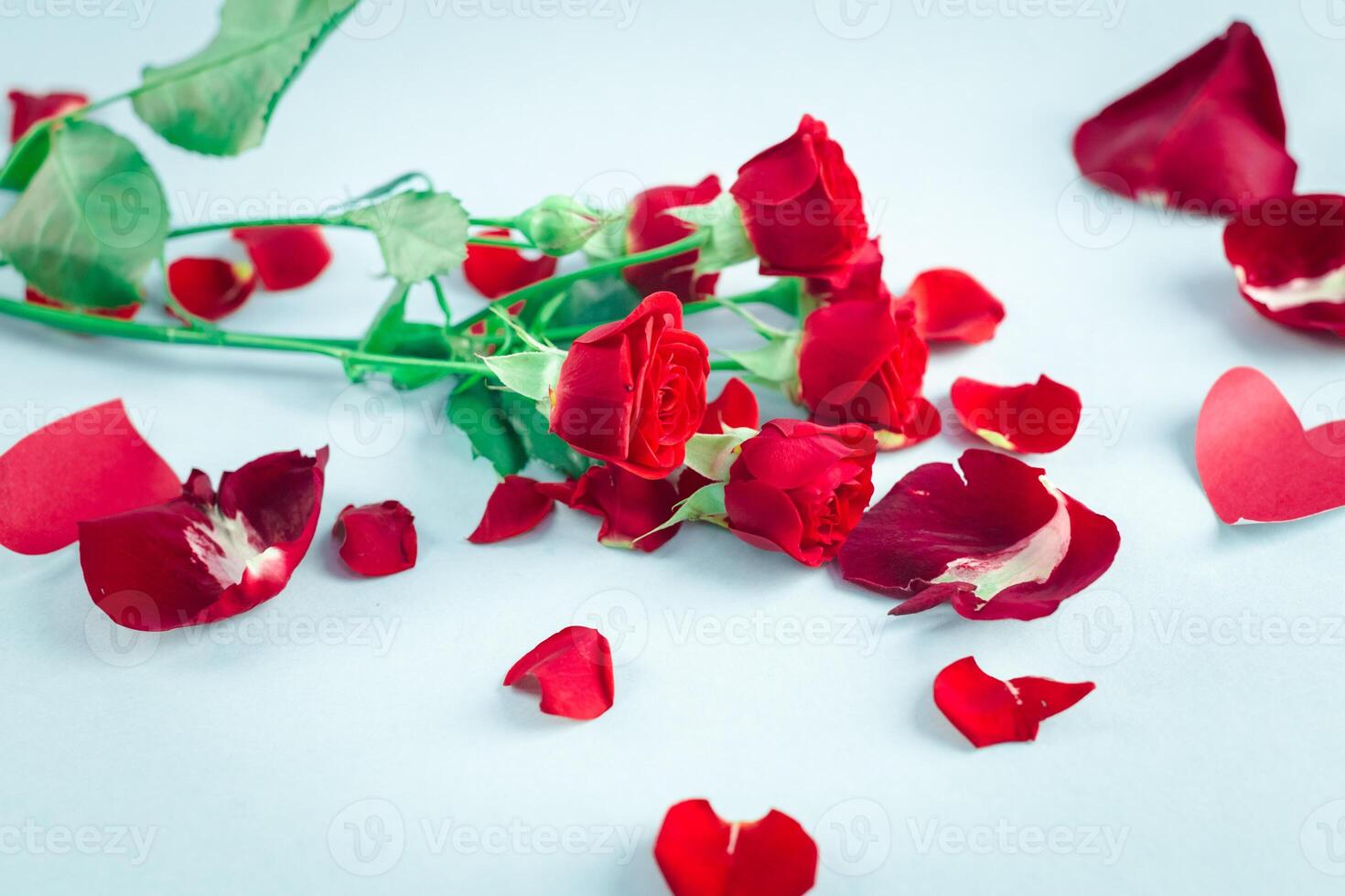 Image of Valentines day photo