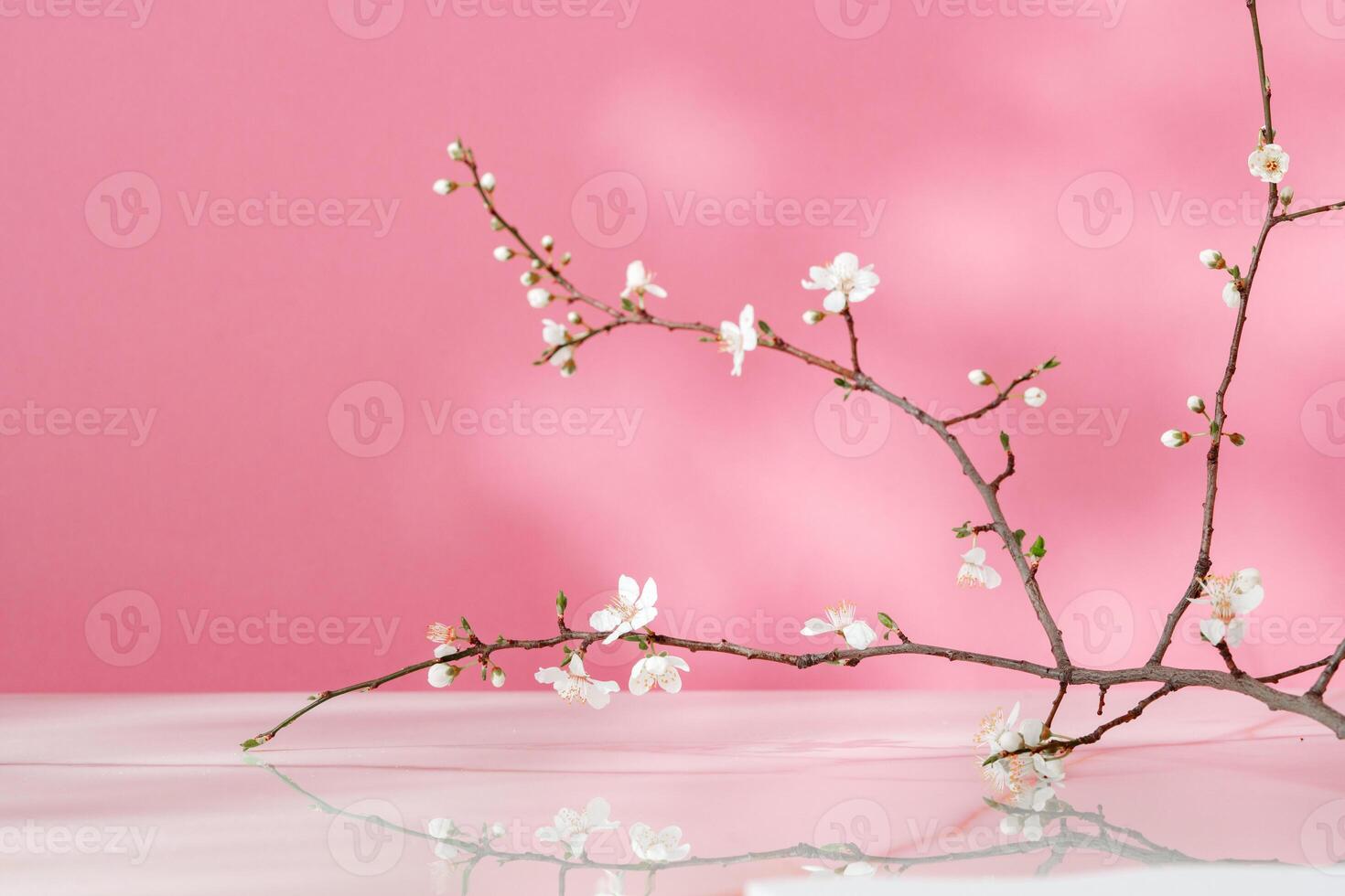 Blooming spring branches with flowers and its shadow on pink background photo