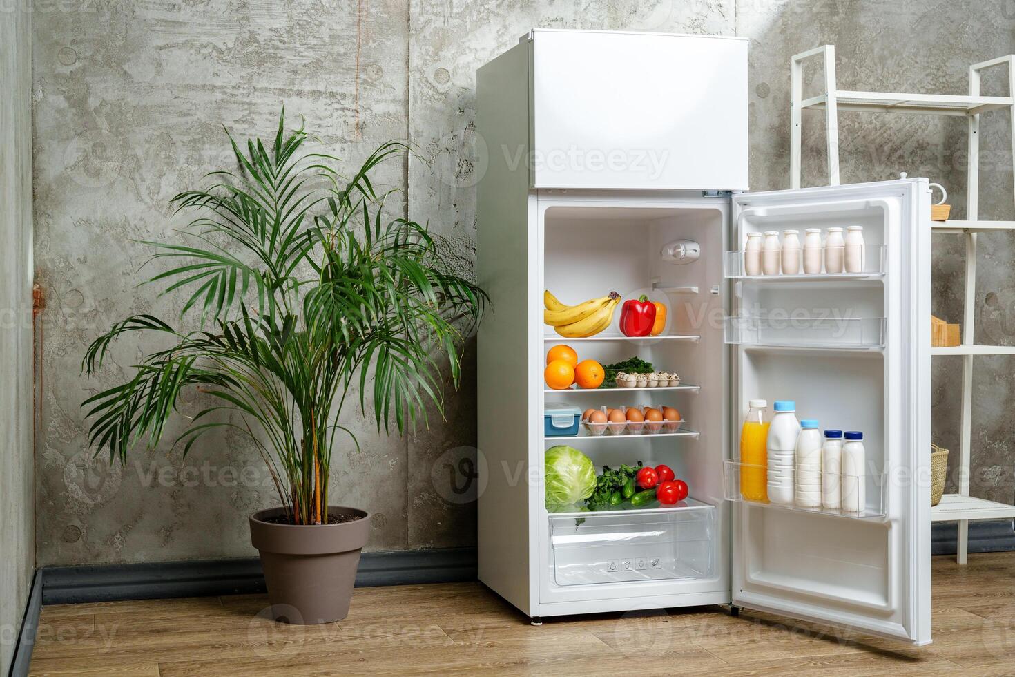 White Refrigerator With Open Door Showing Food Inside, Grey Concrete Wall, Wooden Floor, and Plant photo