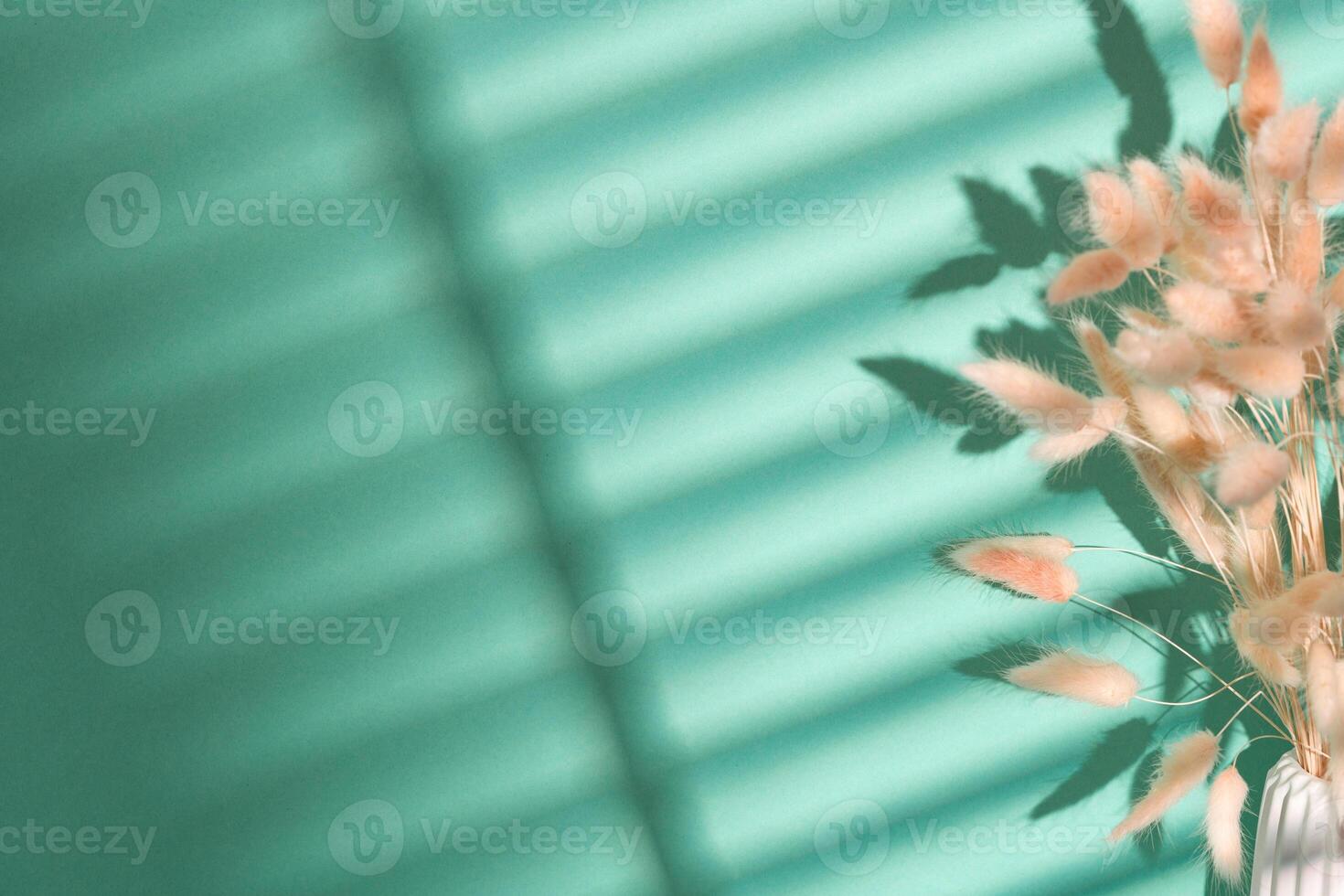 Ceramic vase with dried plant with shadows on the green wall photo