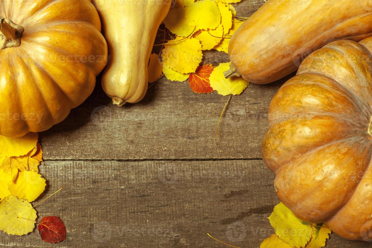 pumpkins on wooden board photo