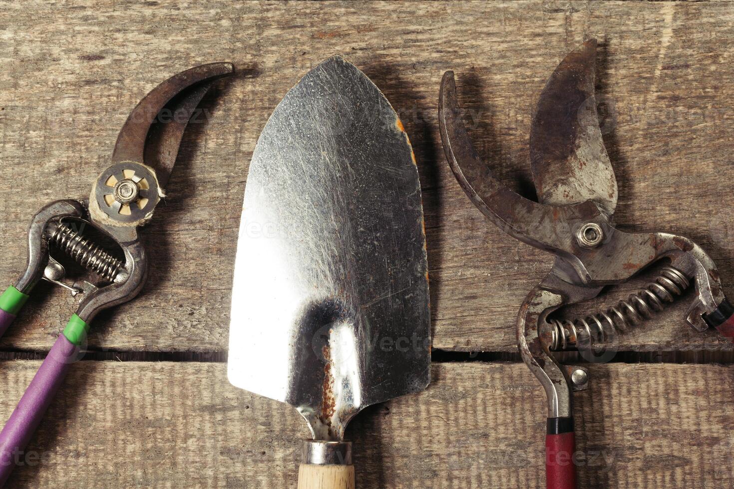composition of garden tools photo