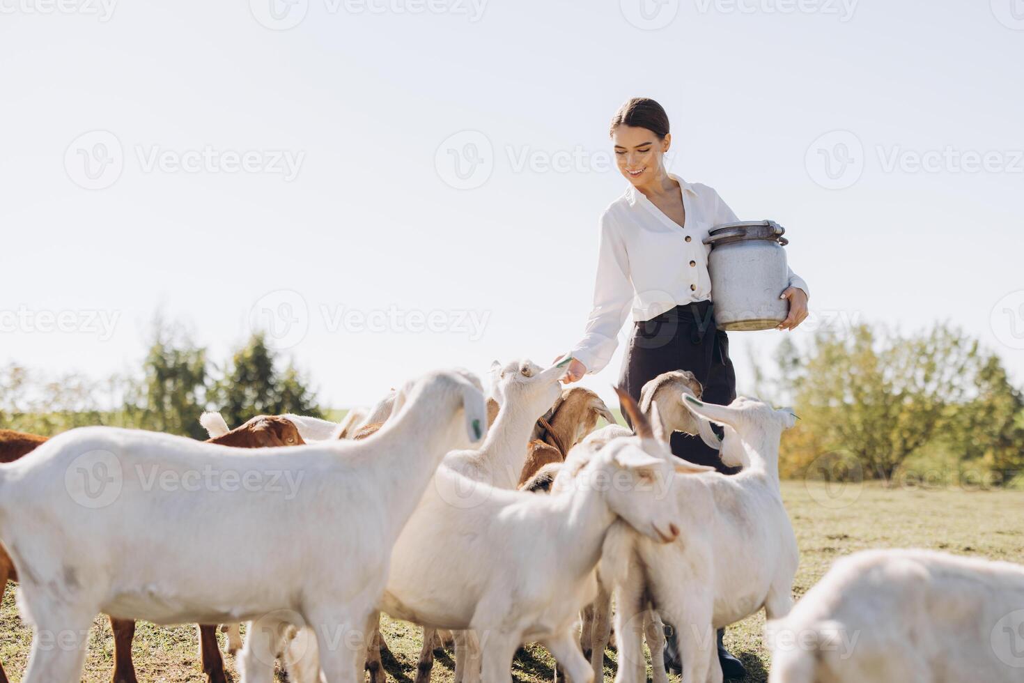 Young Woman Feeding Goats in a Pasture on a Sunny Day with a Milk Can in Hand, Displaying a Connection with Nature and Farm Life photo