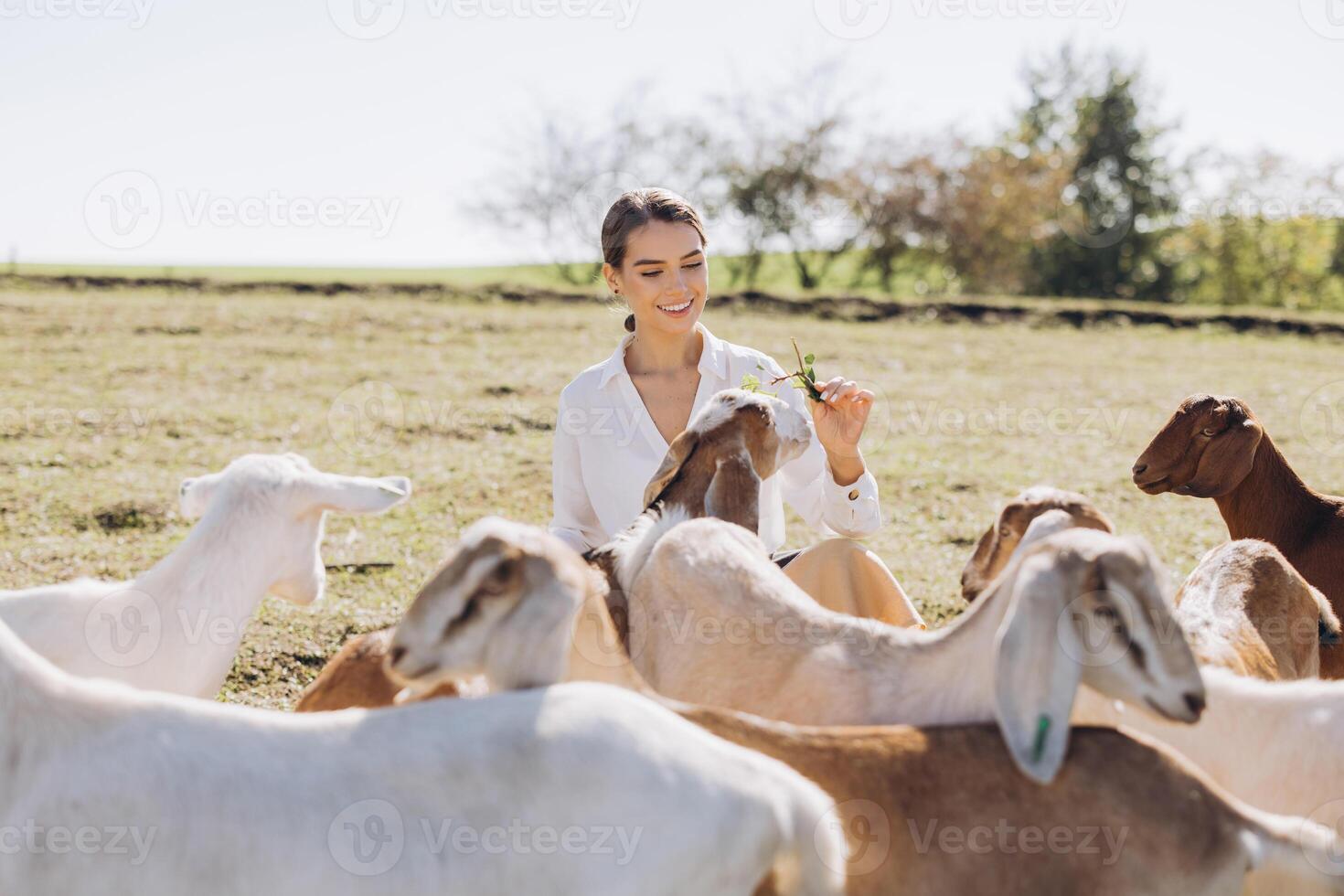 Woman Enjoying Time with Goats on Farm, Interacting with Animals in Pasture on a Bright Sunny Day photo