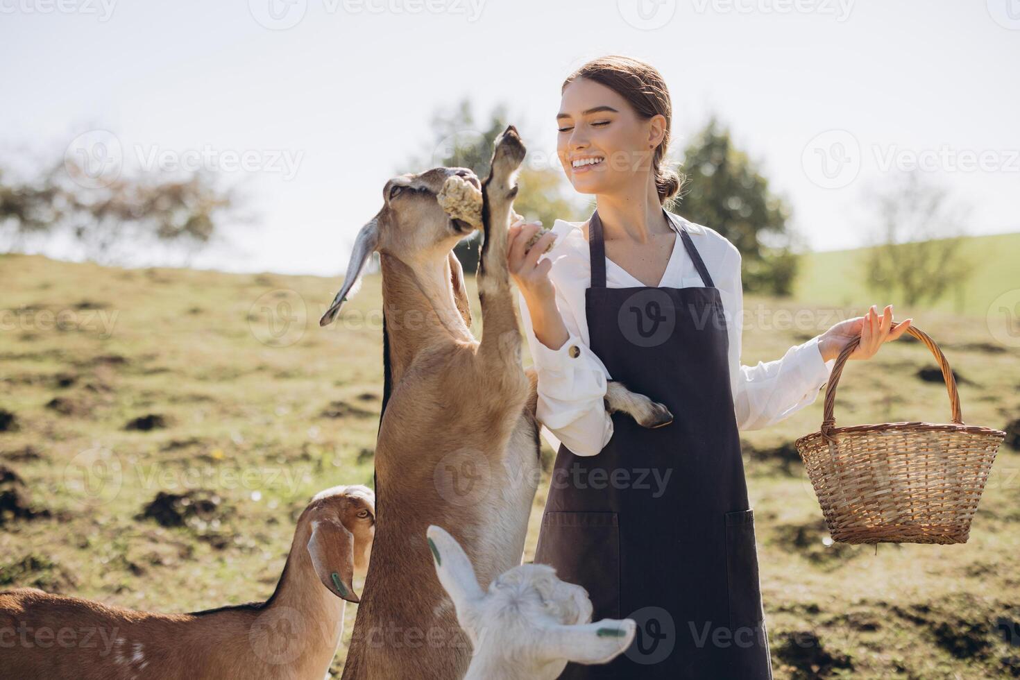 Woman in Apron Feeding Goats on Farm Holding Basket with Joyful Expression in Countryside Field During Sunny Afternoon photo