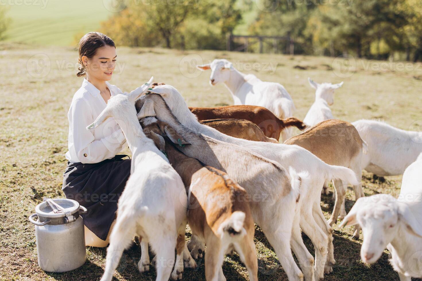 Woman Tending to Friendly Goats in a Sunny Pasture Capturing a Harmonious Connection with Nature photo