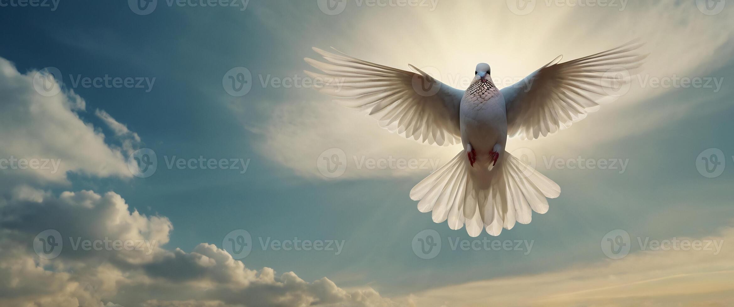 A white dove flying in the sky with its wings spread photo