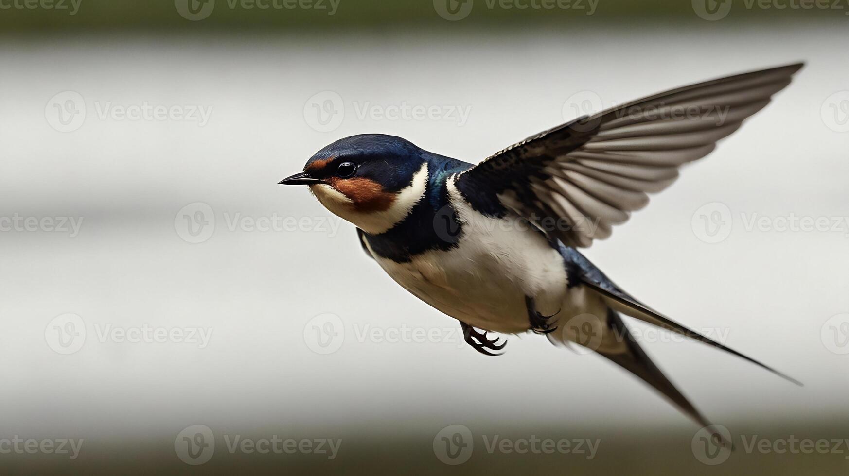 A bird flying in the air with its wings spread photo