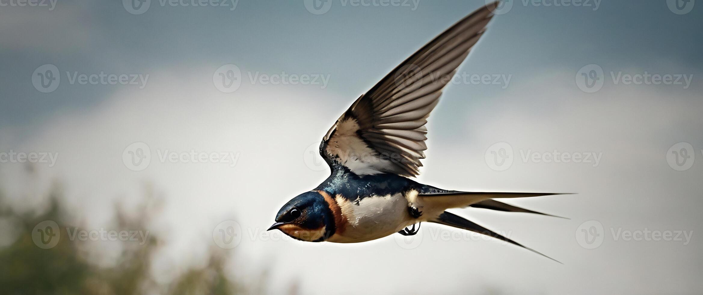 A bird flying in the air with its wings spread photo