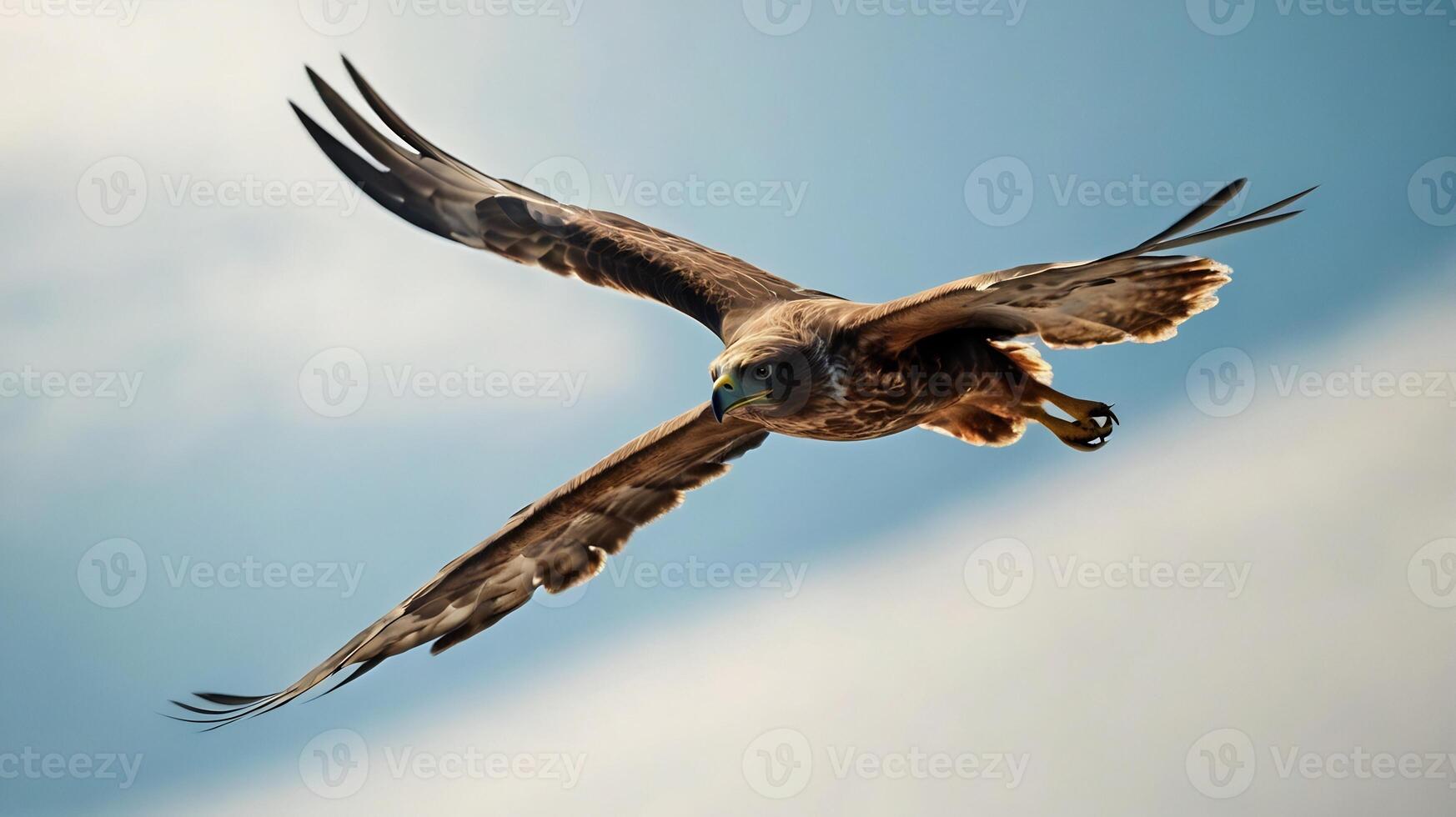 A large bird flying through the air photo
