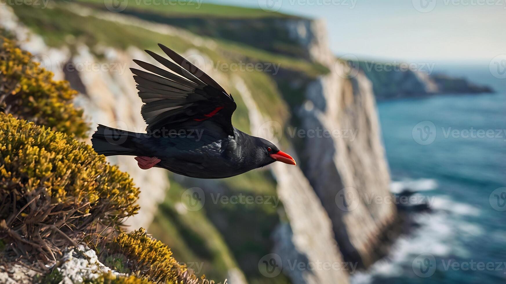 A black bird flying over a cliff with green plants photo