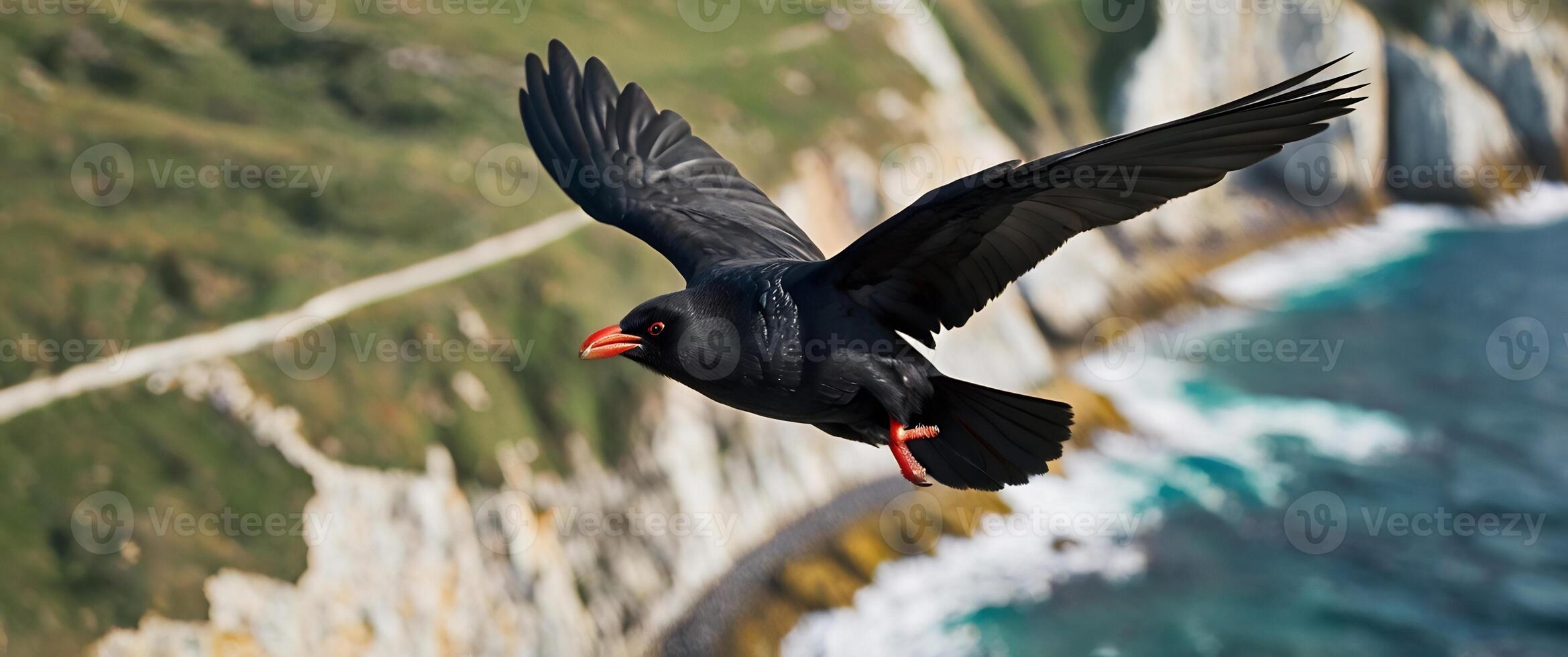 A black bird flying over the ocean with a cliff in the background photo