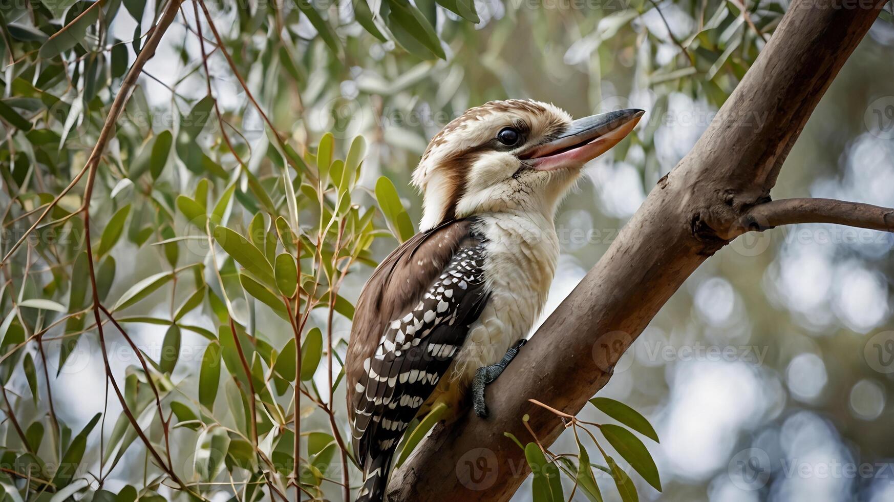 A bird sitting on a branch with its mouth open photo