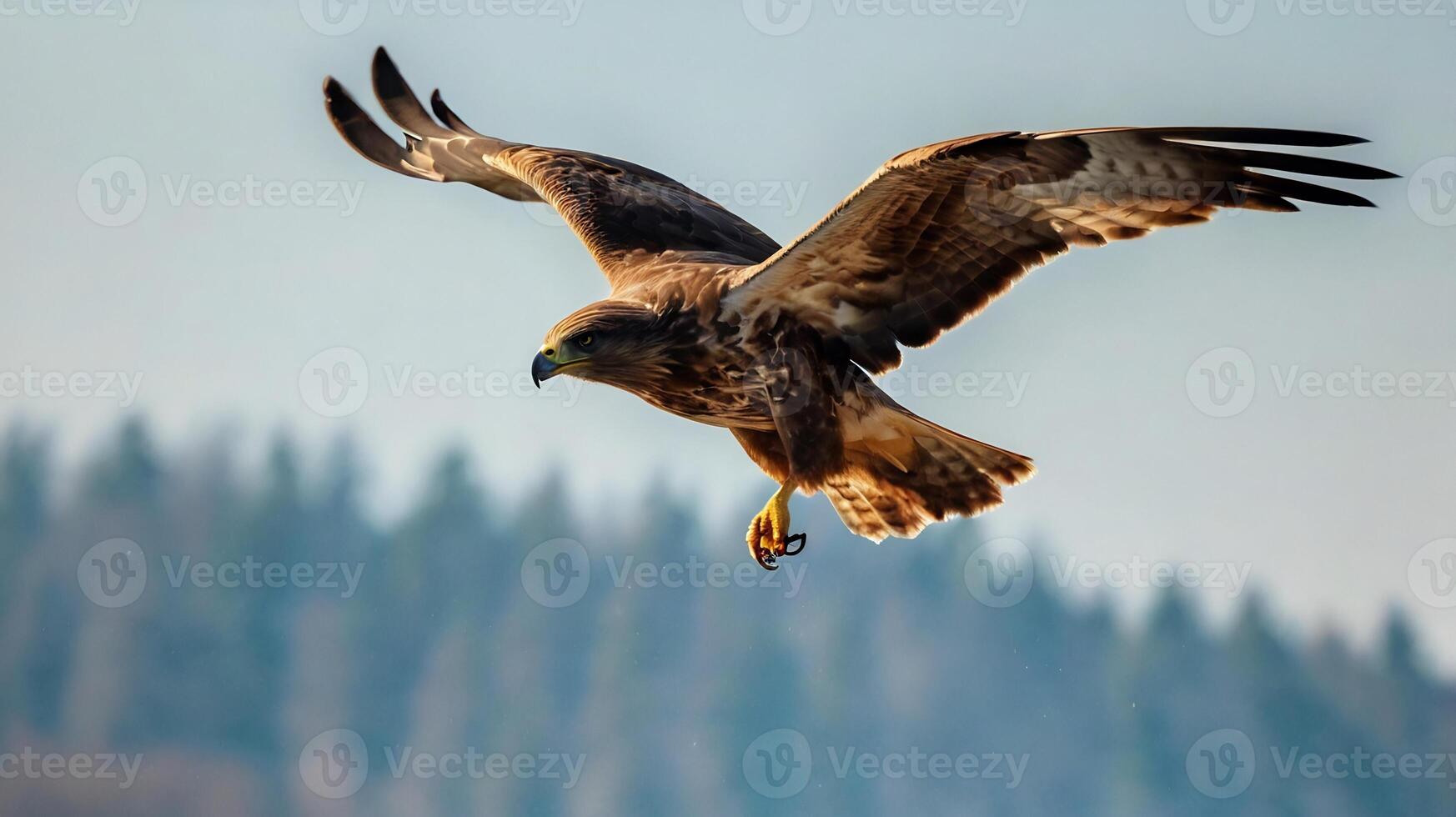 A large bird flying over a forest photo