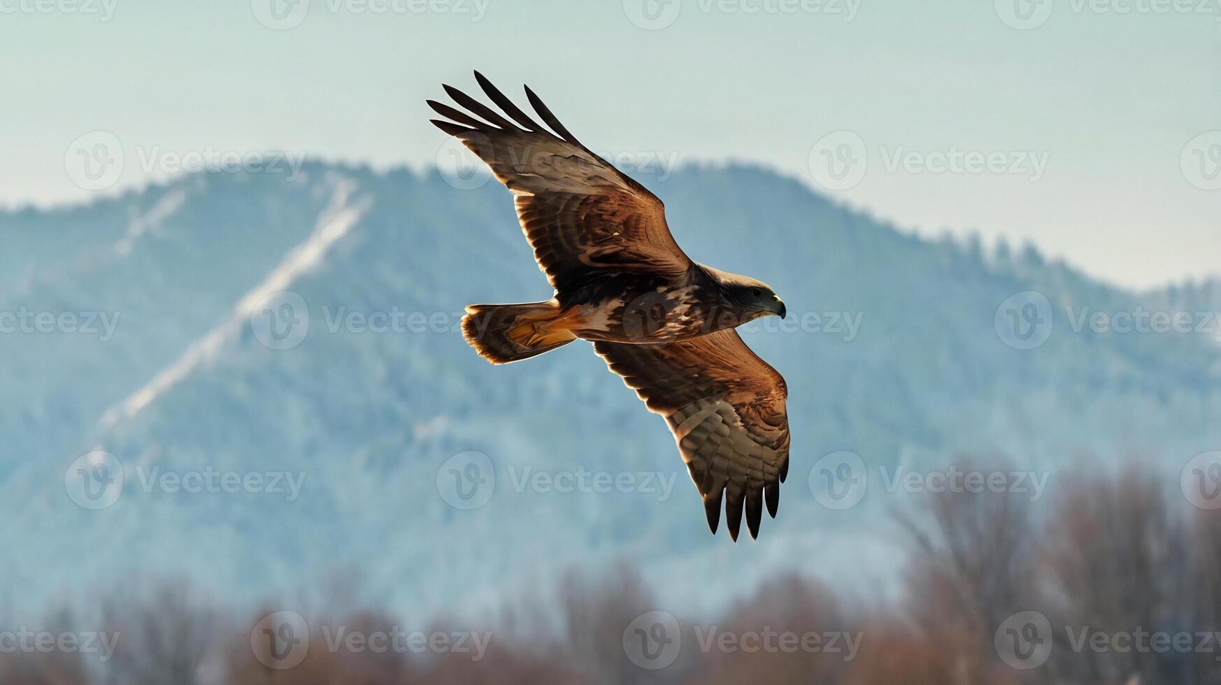 A hawk flying over a snowy mountain range photo