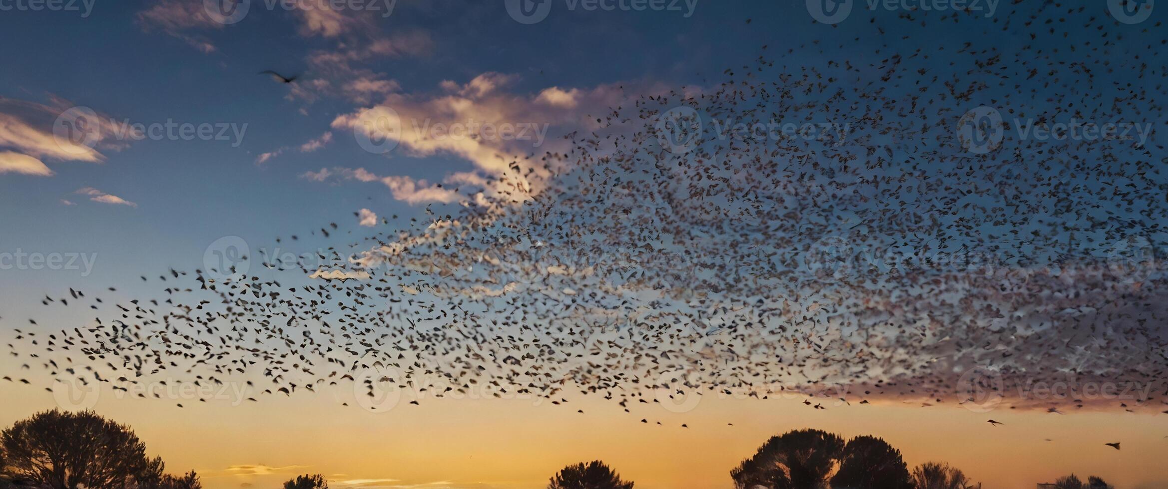 A flock of birds flying in the sky at sunset photo