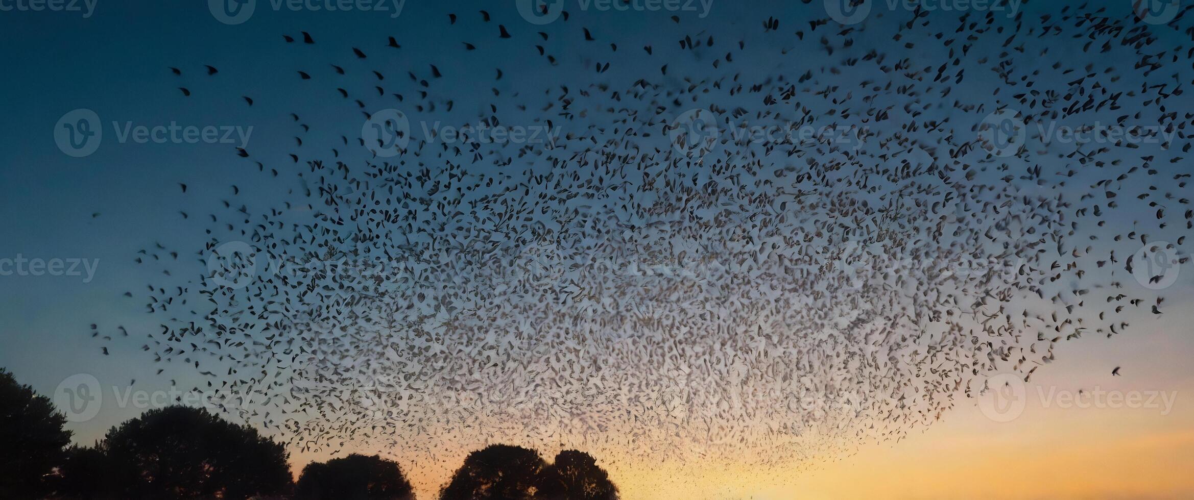 A flock of birds flying over a field at sunset photo
