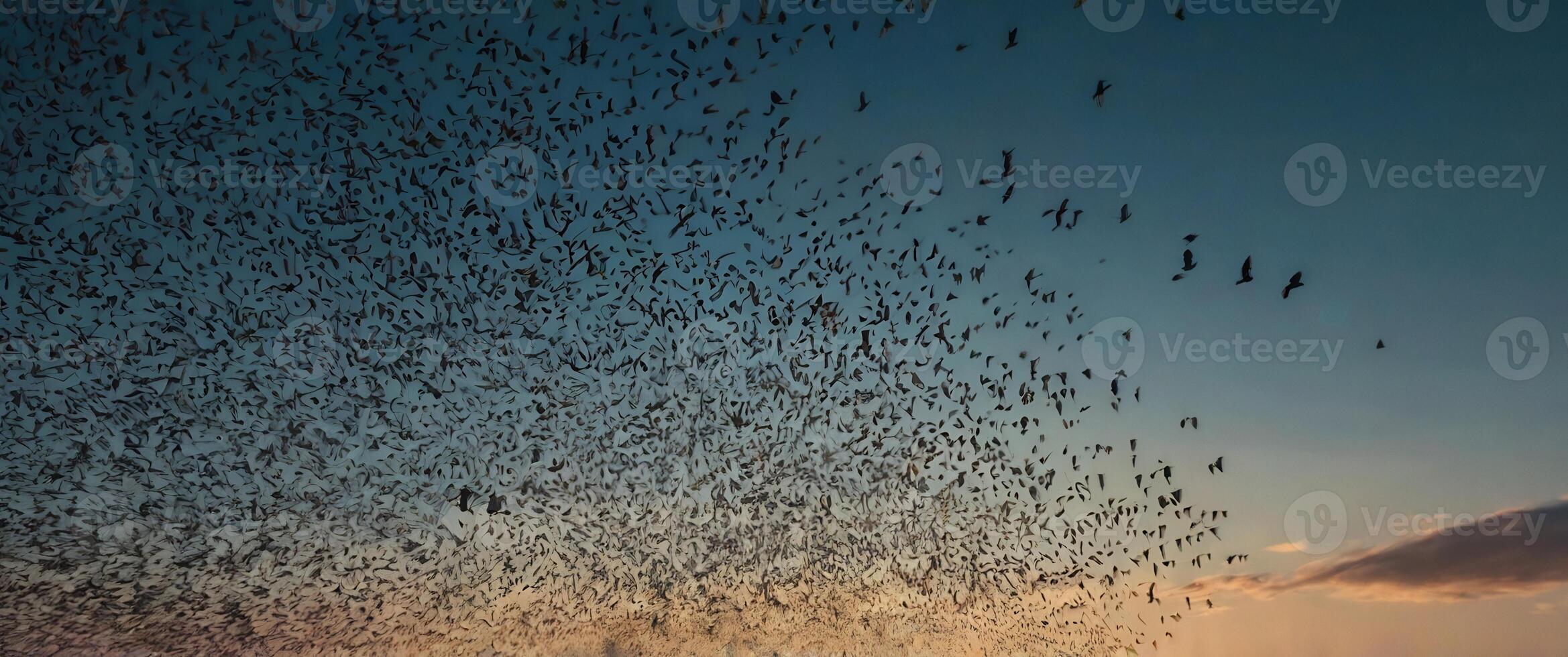 A flock of birds flying over a body of water photo