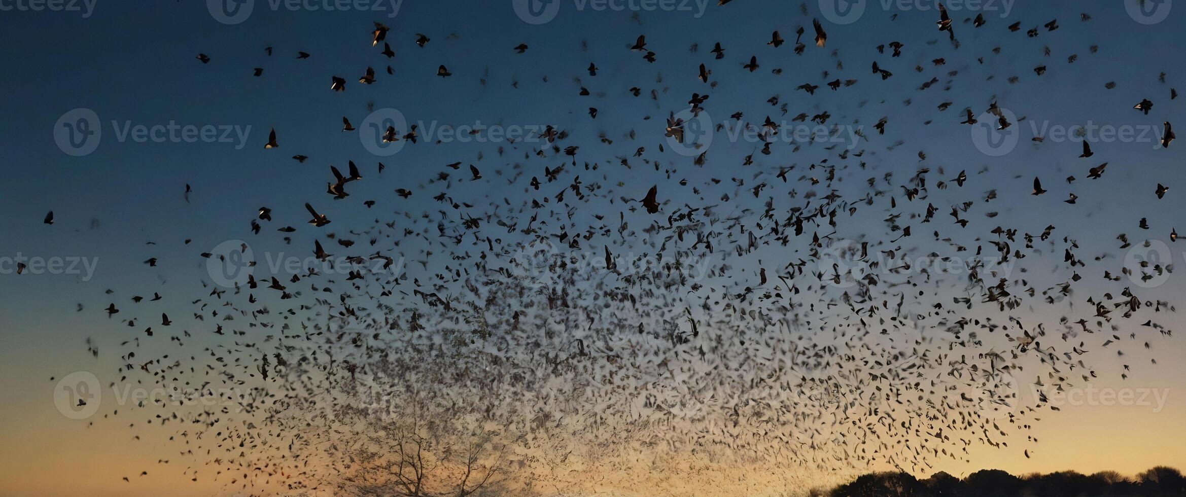 A flock of bats fly over a field at dusk photo