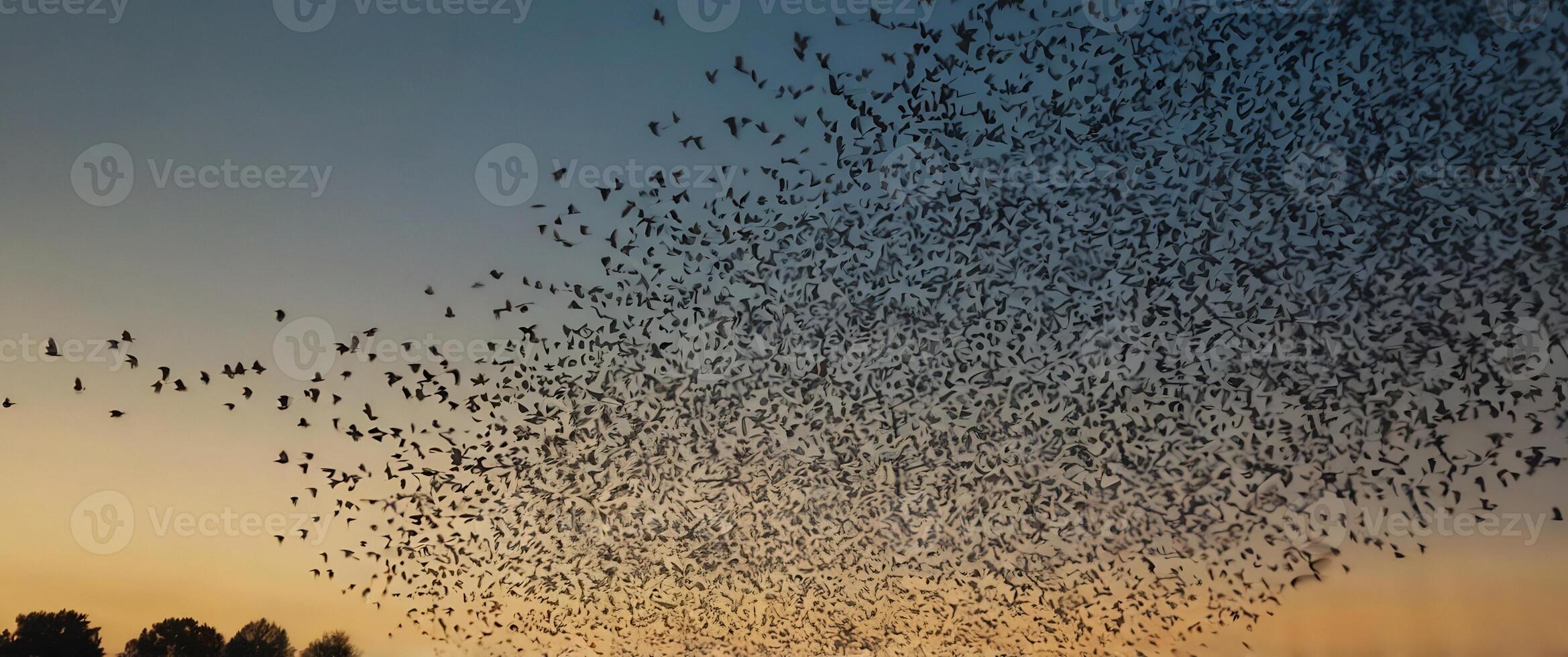 A flock of birds flying over a field photo