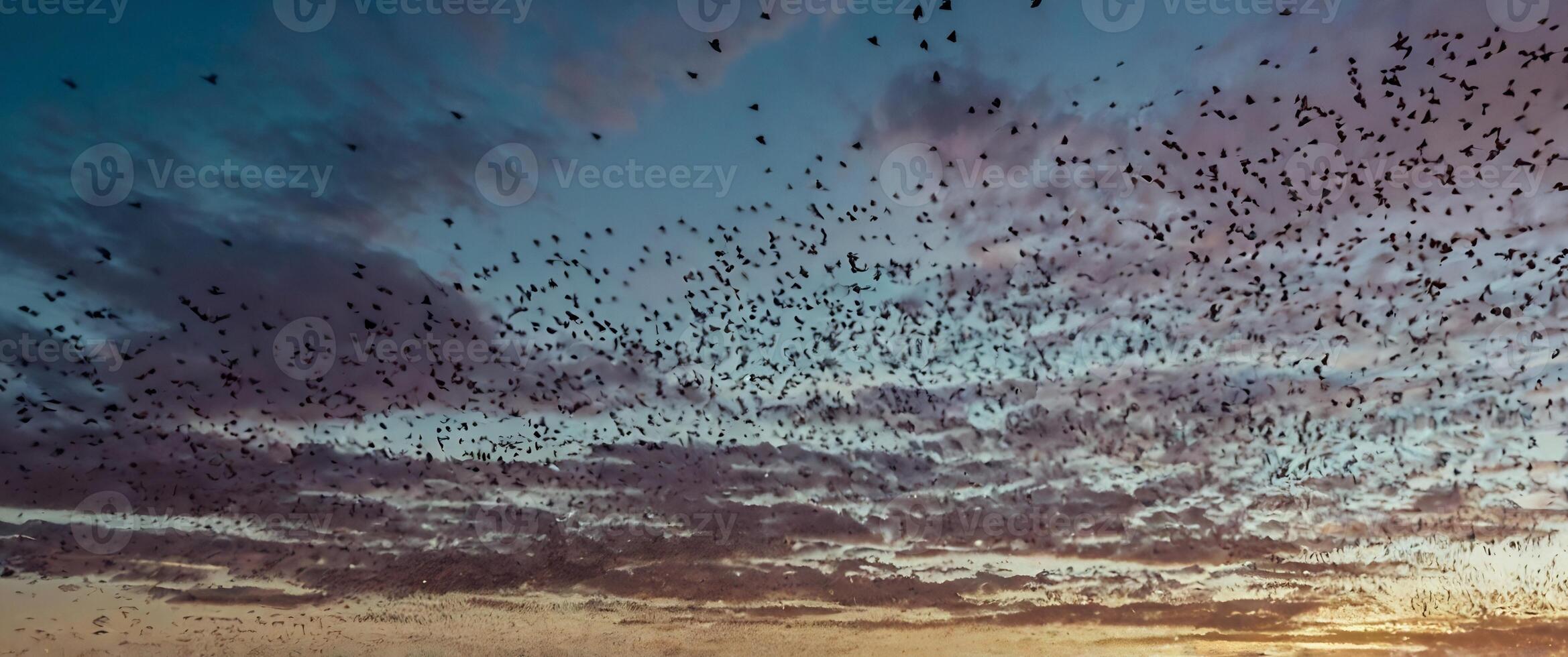 A flock of birds flying in the sky at sunset photo