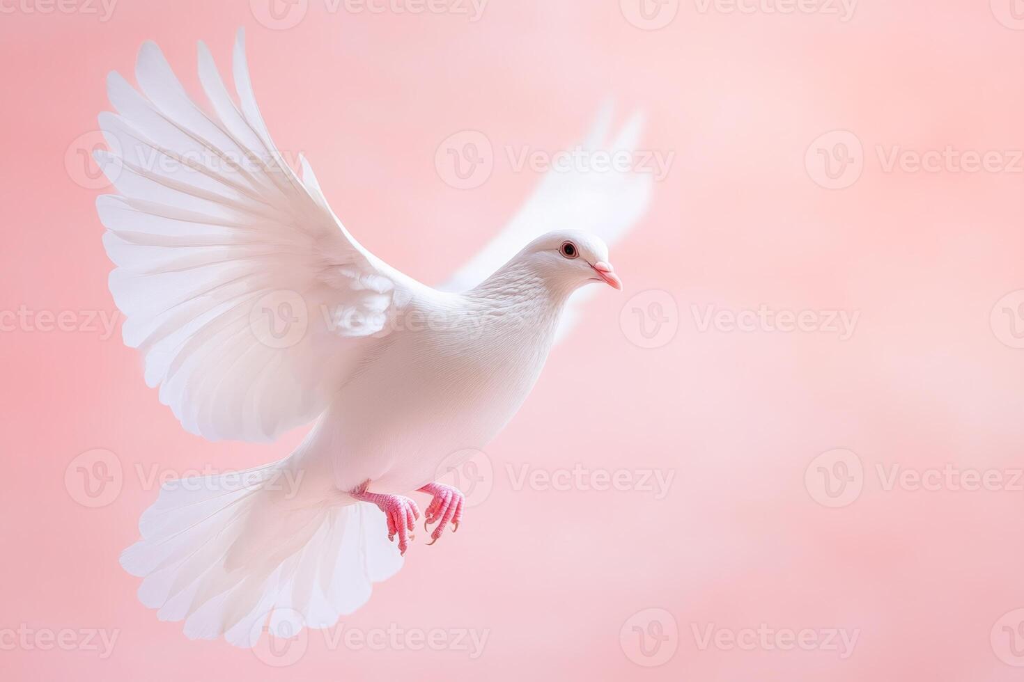 Close-up of a white dove with wings spread wide against a soft pastel background highlighting its grace and beauty photo
