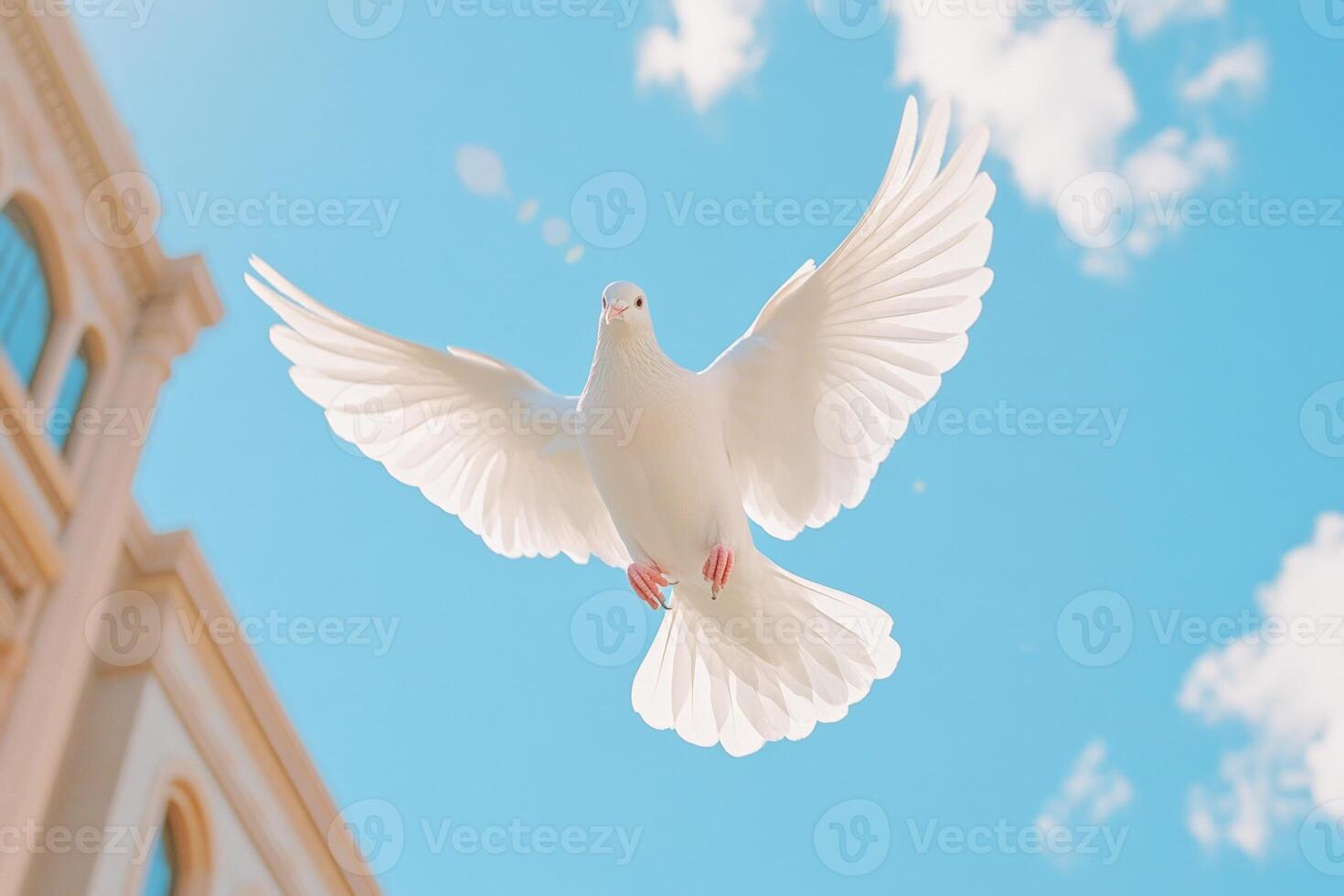 A white dove soaring gracefully in the sky, wings fully extended against a bright blue backdrop of soft clouds photo